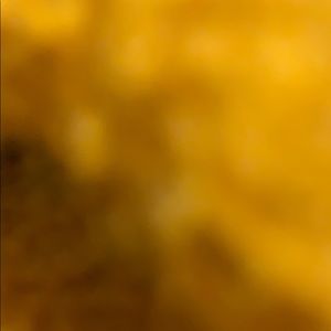 Meet your Posher, Timani